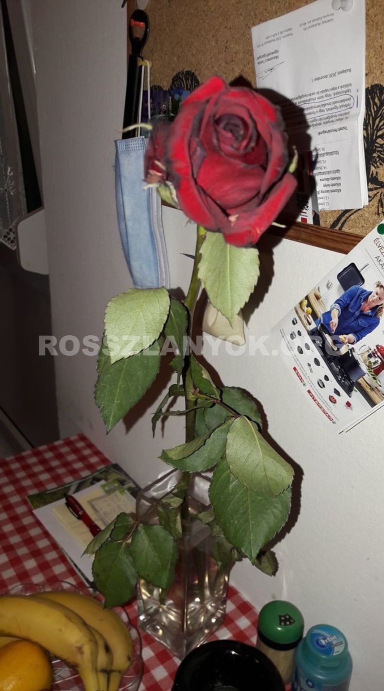 Annie és Rich – rosszlány Pécs