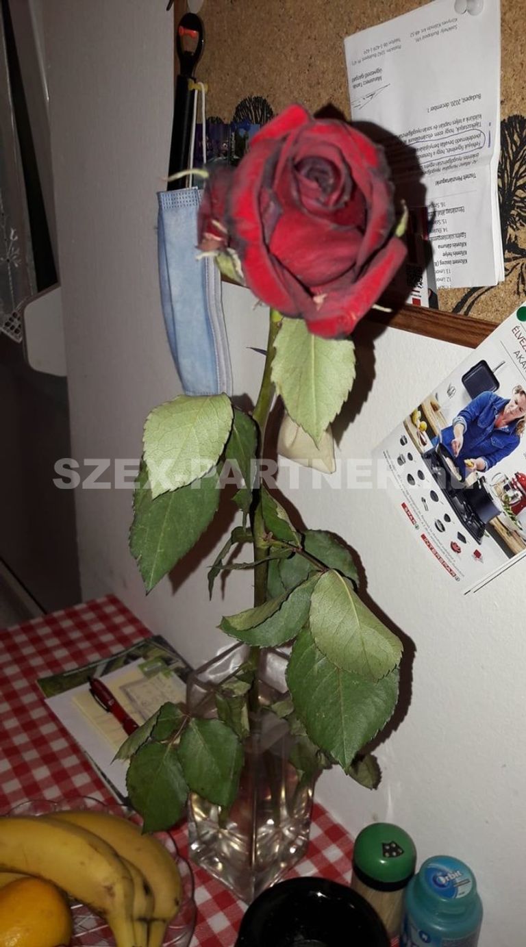 Annie és Rich profilképe
