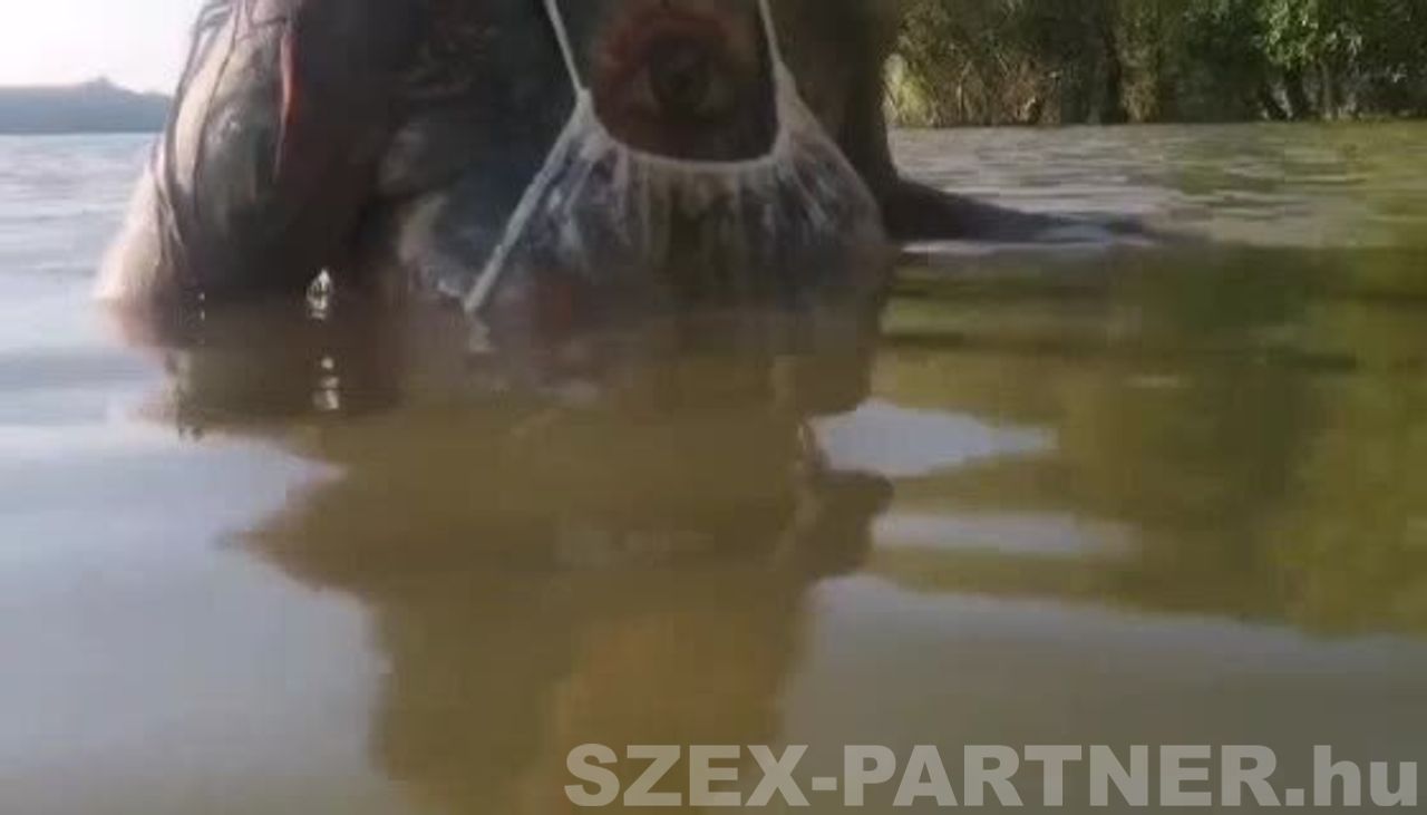 Videó előnézet