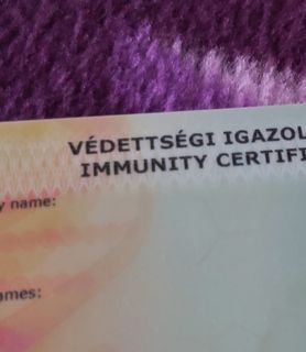 Lilla (55) - Veszprém - kép 860179