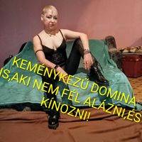 Kingu (44) - Pécs - kép 1061902