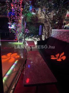 SWINGERKN swinger klubb - 4. fotó 