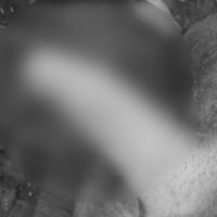 milfhunter (42) - Nagykanizsa - photo 918073