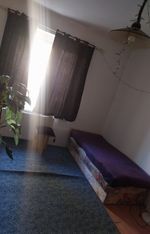 Sziszi - 23. fotó 