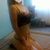 Irina (21)