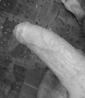 milfhunter (42) - Nagykanizsa - kép 917959