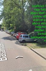 Niki - 5. fotó 