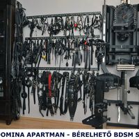 Hanna Bdsm (48) - Székesfehérvár - photo 1000178