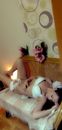 Rea (36) - Püspökladány - photo 890769