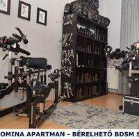 Hanna Bdsm (48) - Székesfehérvár - photo 1000467