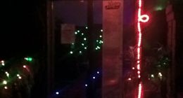 Senator Night Club