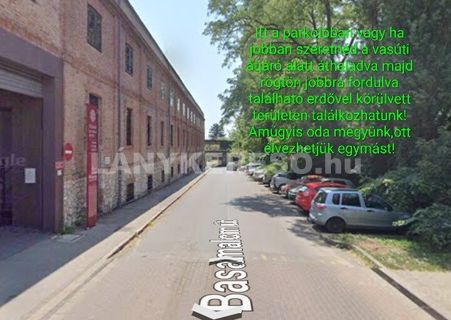 Niki - 2. fotó 
