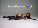 Fekete macska (33) - Budapest X. - kép 1065809