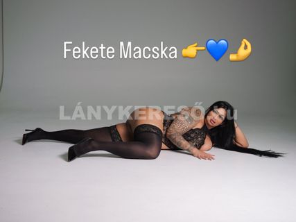 Fekete macska - 4. fotó 