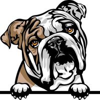 Buster