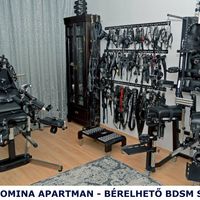 Hanna Bdsm (48) - Székesfehérvár - photo 1001867