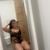 Isabell