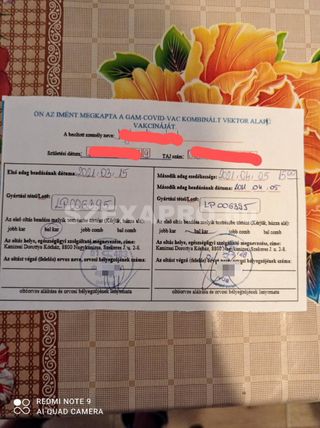 Laura Női szexpartner +36 30 876 3337 fénykép 6