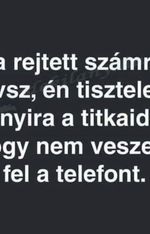 Barby - 37. fotó 