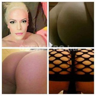 Brigitte Transzszexuális Transzi szexpartner +36 30 097 7262 fénykép 18