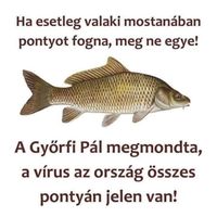 Lallli