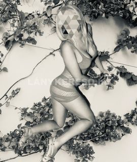 Stella - 23. fotó 