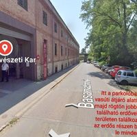 Niki - 18. fotó 