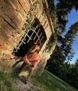 Vivikee (26) - Debrecen - photo 1060903