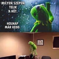 gumipepüle