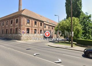 Niki Női szexpartner +36 30 713 1814 fénykép 13