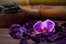 Vica (47) - Győr - photo 1020848
