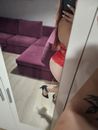 Ramóna (27) - Nagykanizsa - kép 1054186