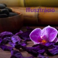 Vica (47) - Győr - kép 1020848