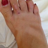 Gabi Webcam (52) - Sopron - kép 1042387