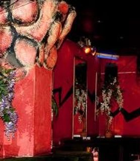 Sakáltanya Night Club - Székesfehérvár - kép 170757