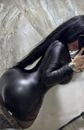 Lola (31) - Nyíregyháza - kép 1024567