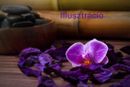Vica (47) - Győr - kép 1020848