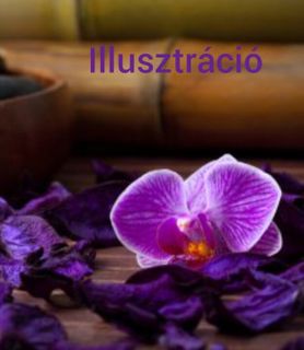 Vica (47) - Győr - kép 1020848